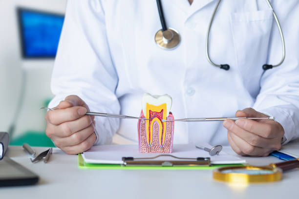Best Emergency Orthodontic Repairs in Woody, WA